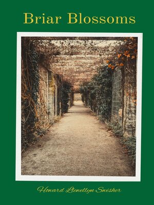 cover image of Briar Blossoms